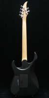 caparison dellinger 2 hgs 3.jpg